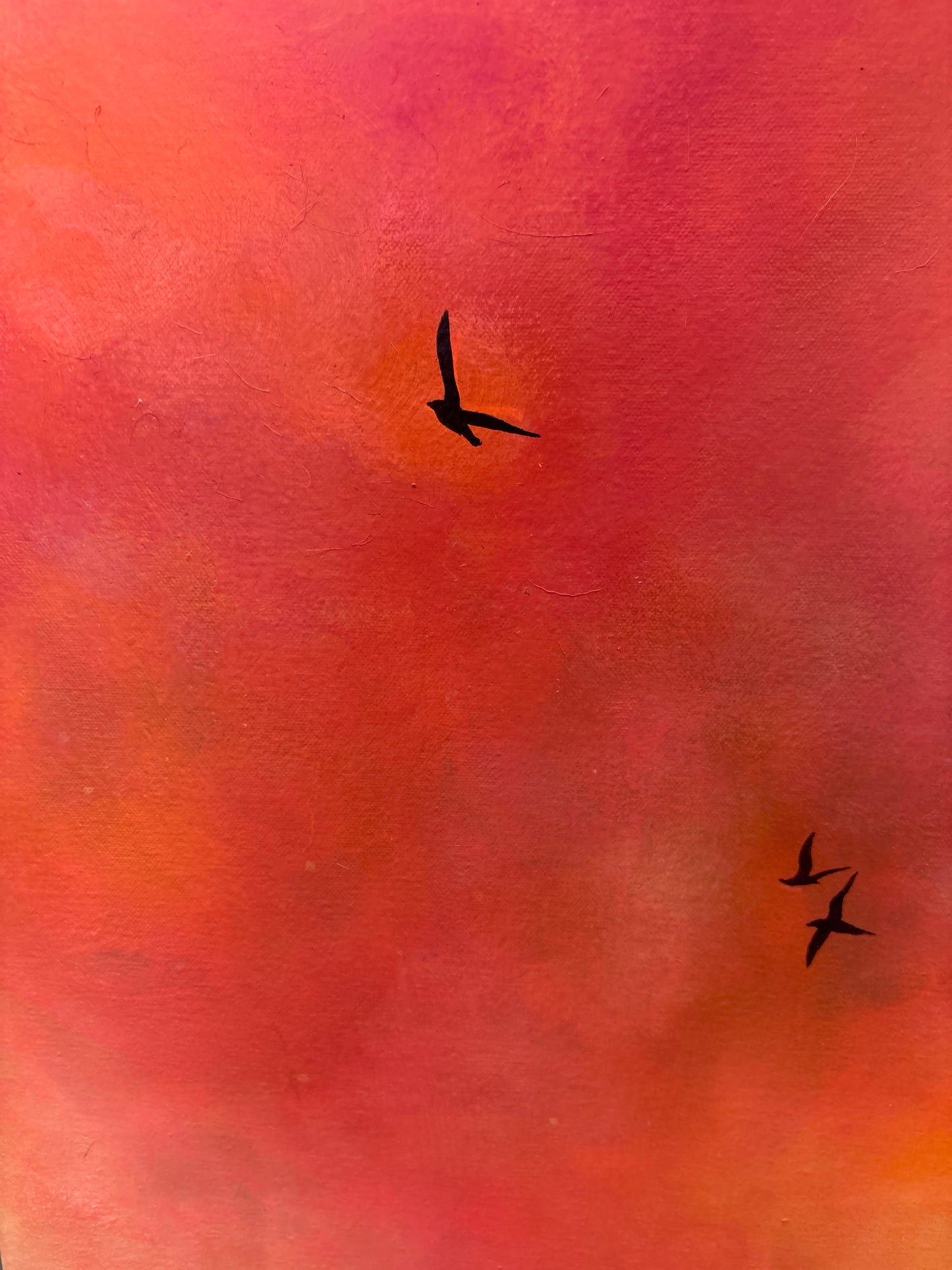 Orange pink sky painting with birds